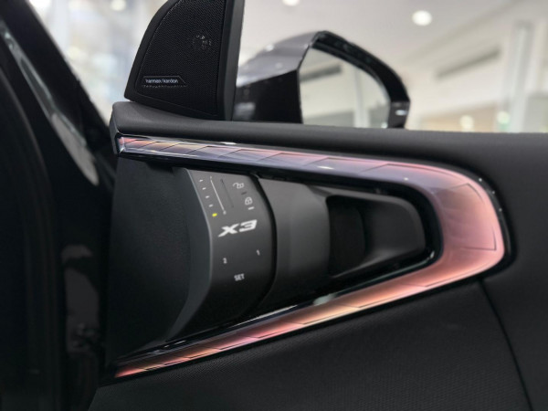 2025 [THIS VEHICLE IS SOLD] image 10