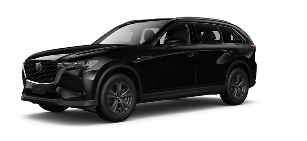 Jet Black Mica