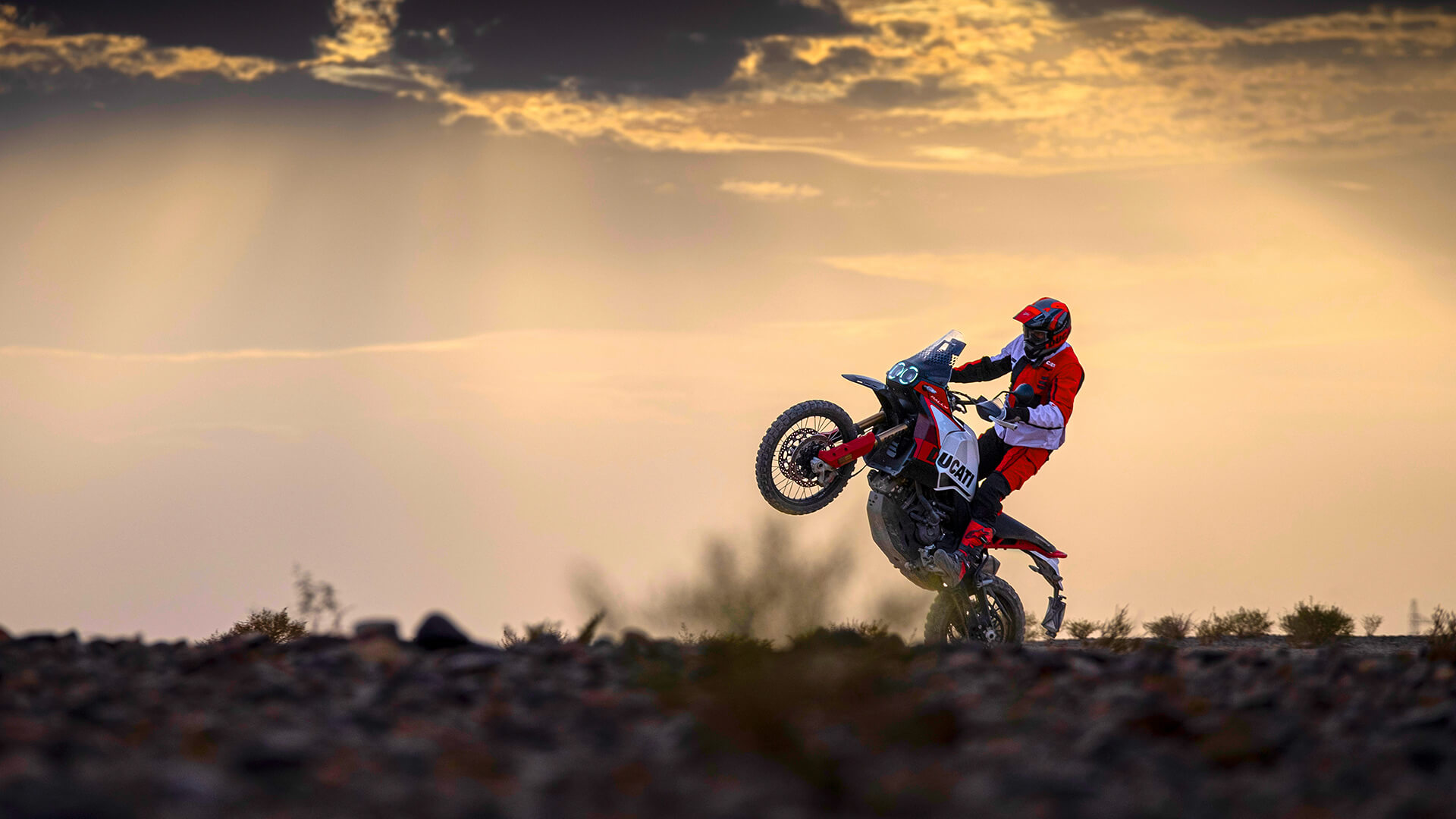 New Ducati DesertX Rally Image