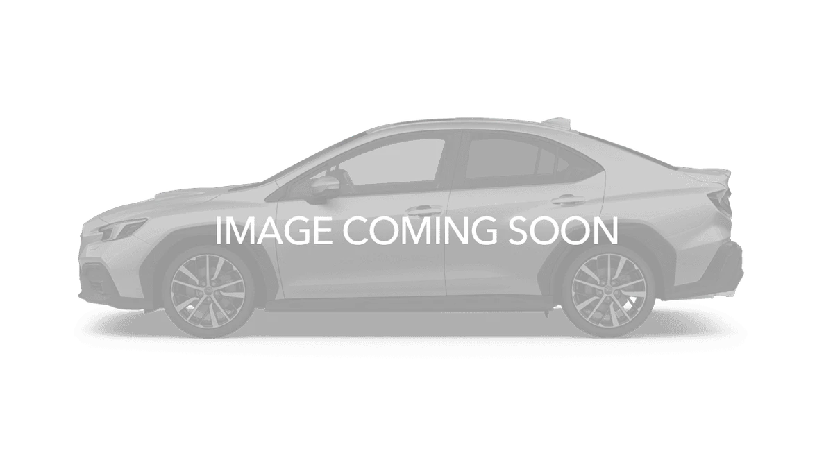 <img src=
