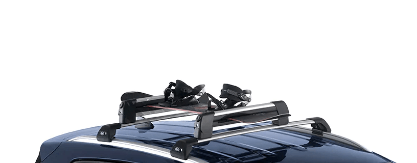 Snow Ski Carrier