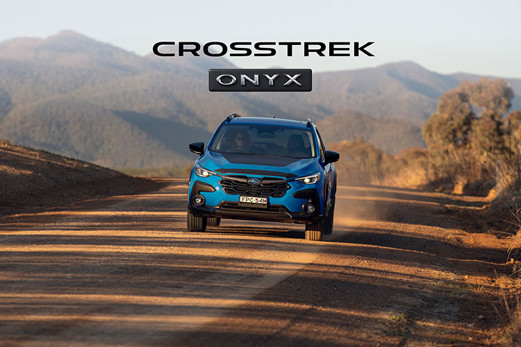 Dark, daring, and ready to roam.​