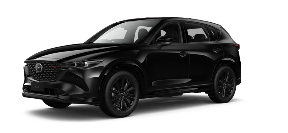 Jet Black Mica