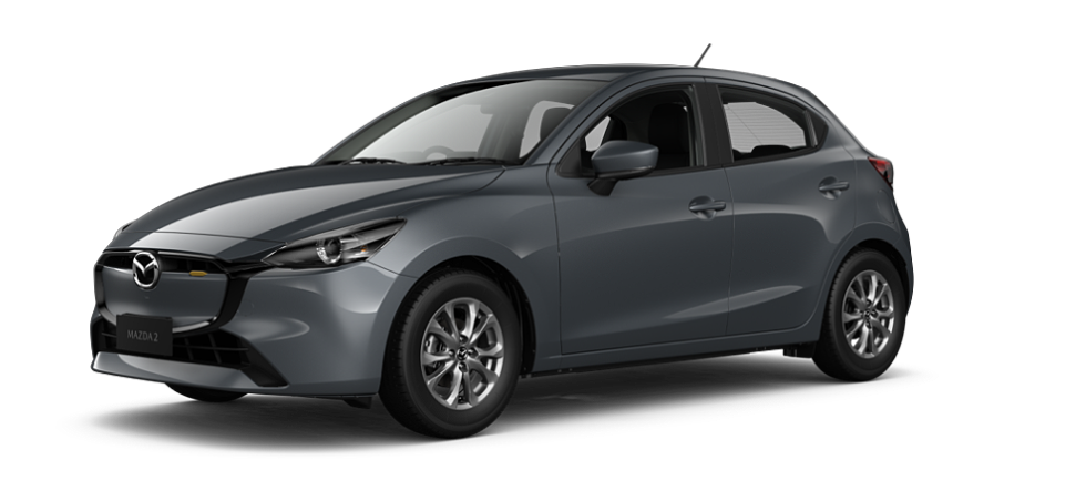 Polymetal Grey Metallic