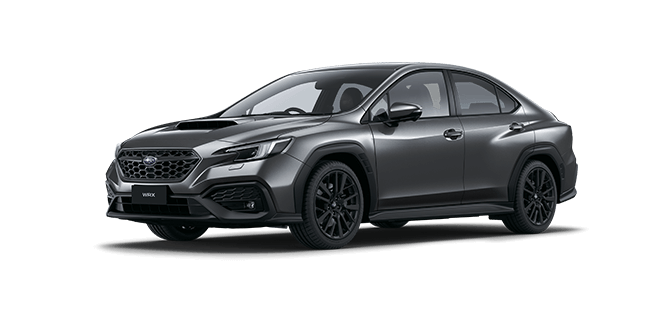 Magnetite Grey Metallic