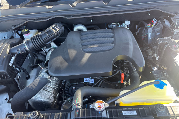 2025 GWM Cannon NPW Premium Ute Image 29