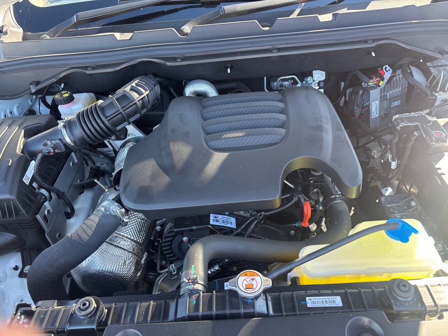 2025 GWM Cannon NPW Premium Ute Image 29
