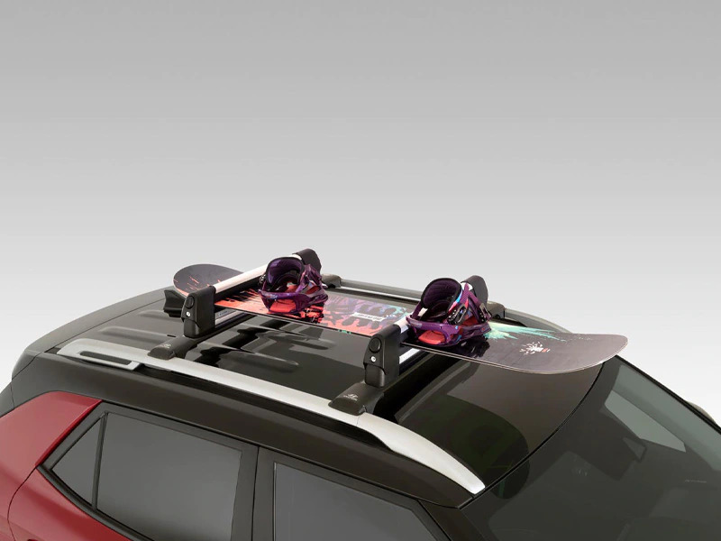 Ski &amp; snowboard carrier