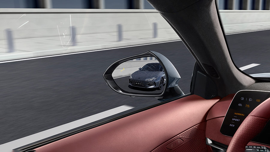Blind Spot Detection (BSD) Image