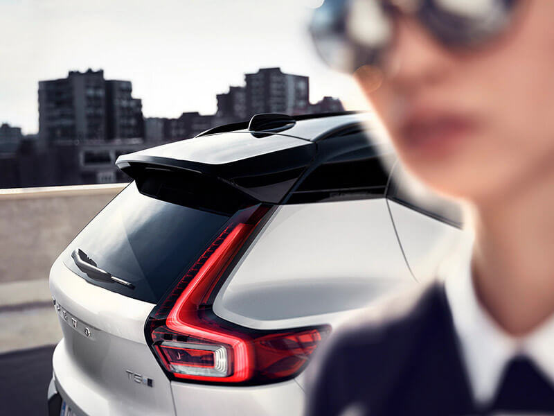 Distinctive design Image