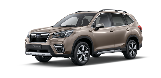 Sepia Bronze Metallic