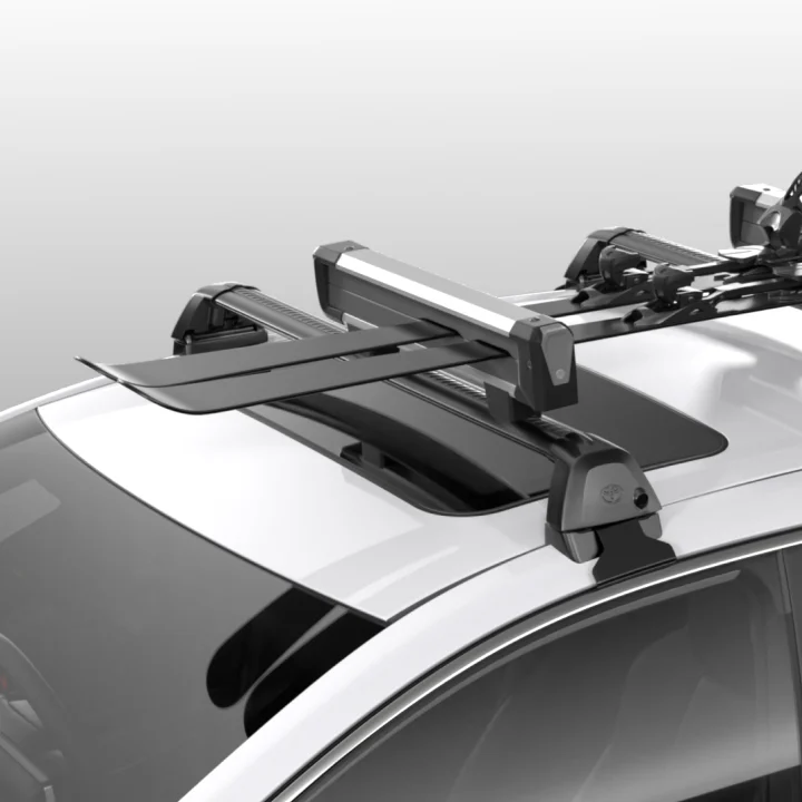 Ski Carrier