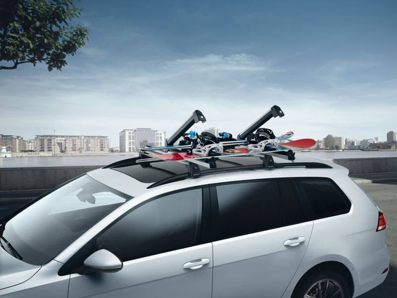 Ski and snowboard carrier