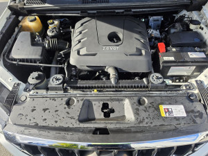 2018 LDV T60 SK8C PRO Ute