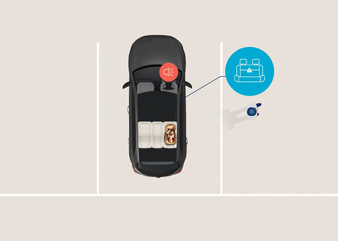 Rear Occupant Alert (ROA) Image