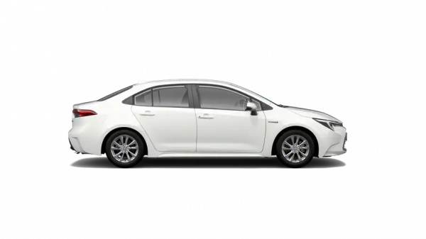 Ascent Sport