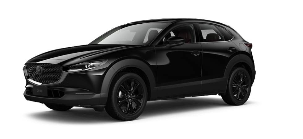 Jet Black Mica