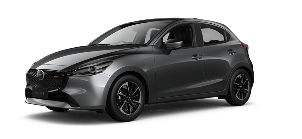 Machine Grey Metallic
