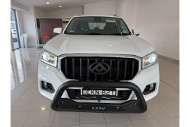 2020 LDV T60 SK8C Trailrider 2 Ute