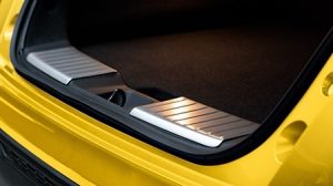 Trunk Entry Guard