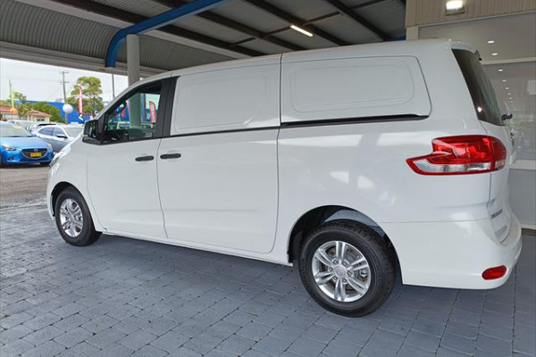 2025 LDV G10 SV7C + Van
