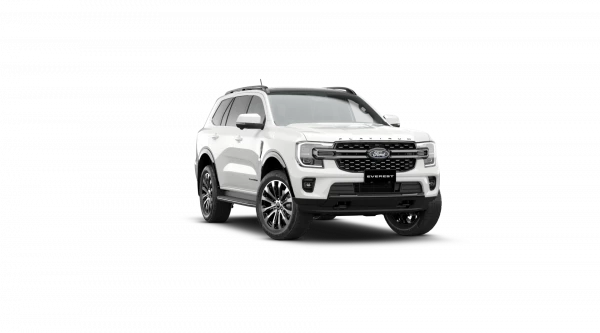 Arctic White