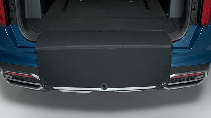Rear Boot Scuff Protector