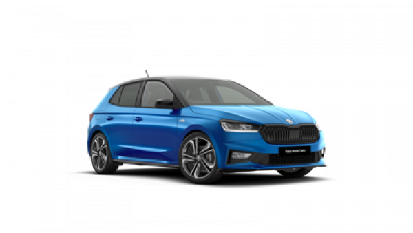 110TSI Monte Carlo