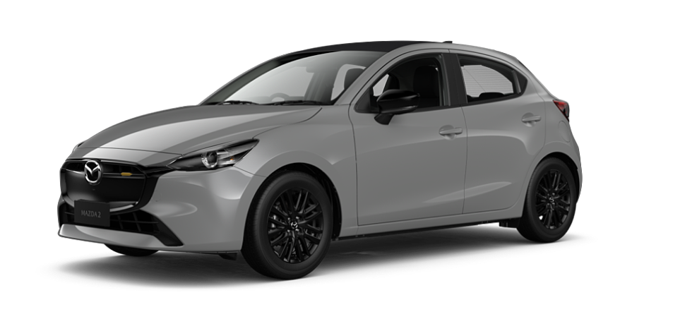 Aero Grey Metallic