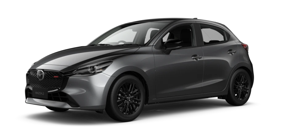 Machine Grey Metallic