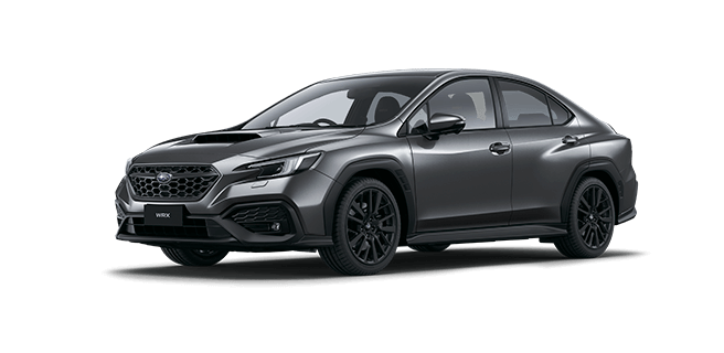 Magnetite Grey Metallic