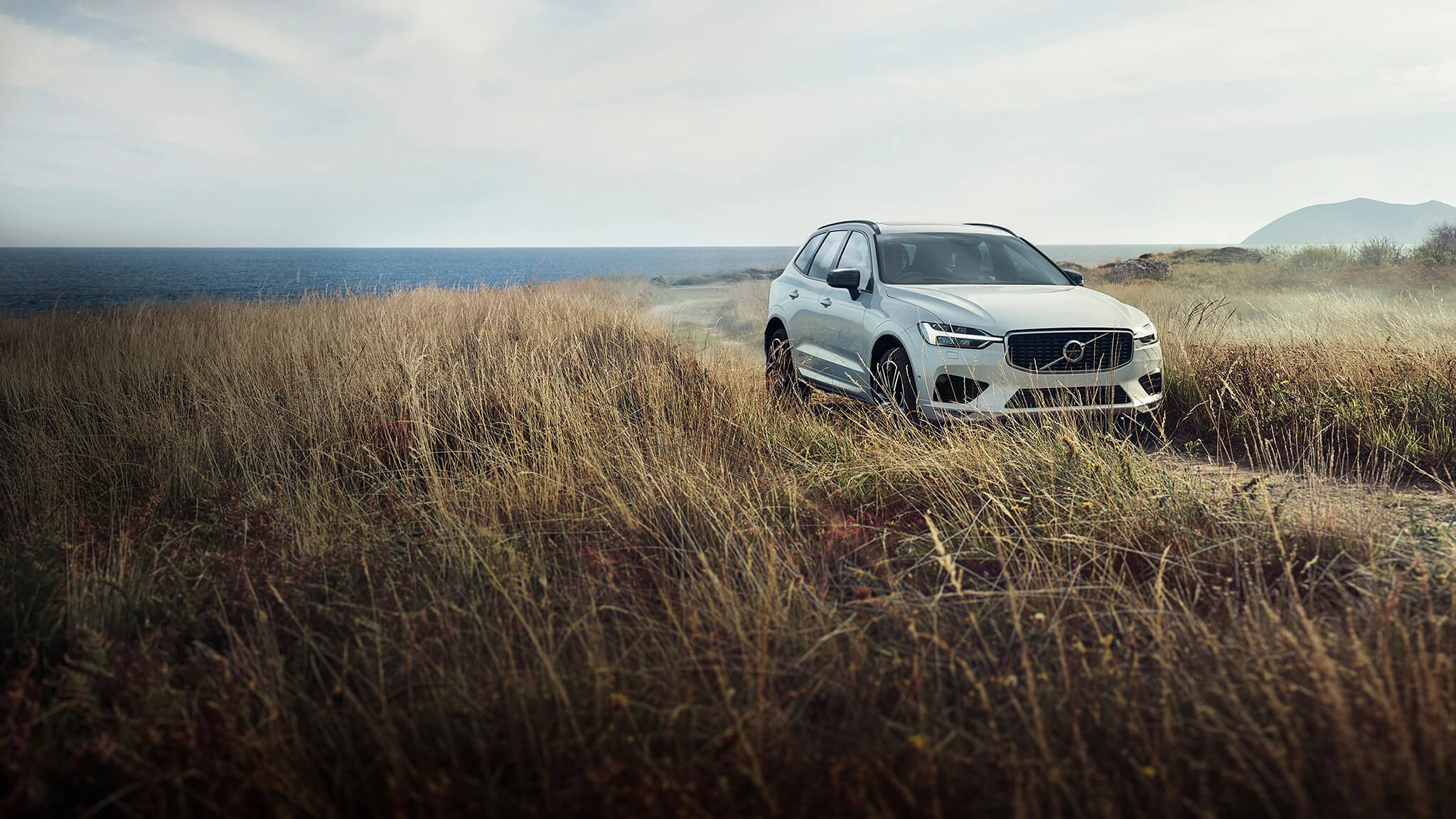 The Winner. Again. Image