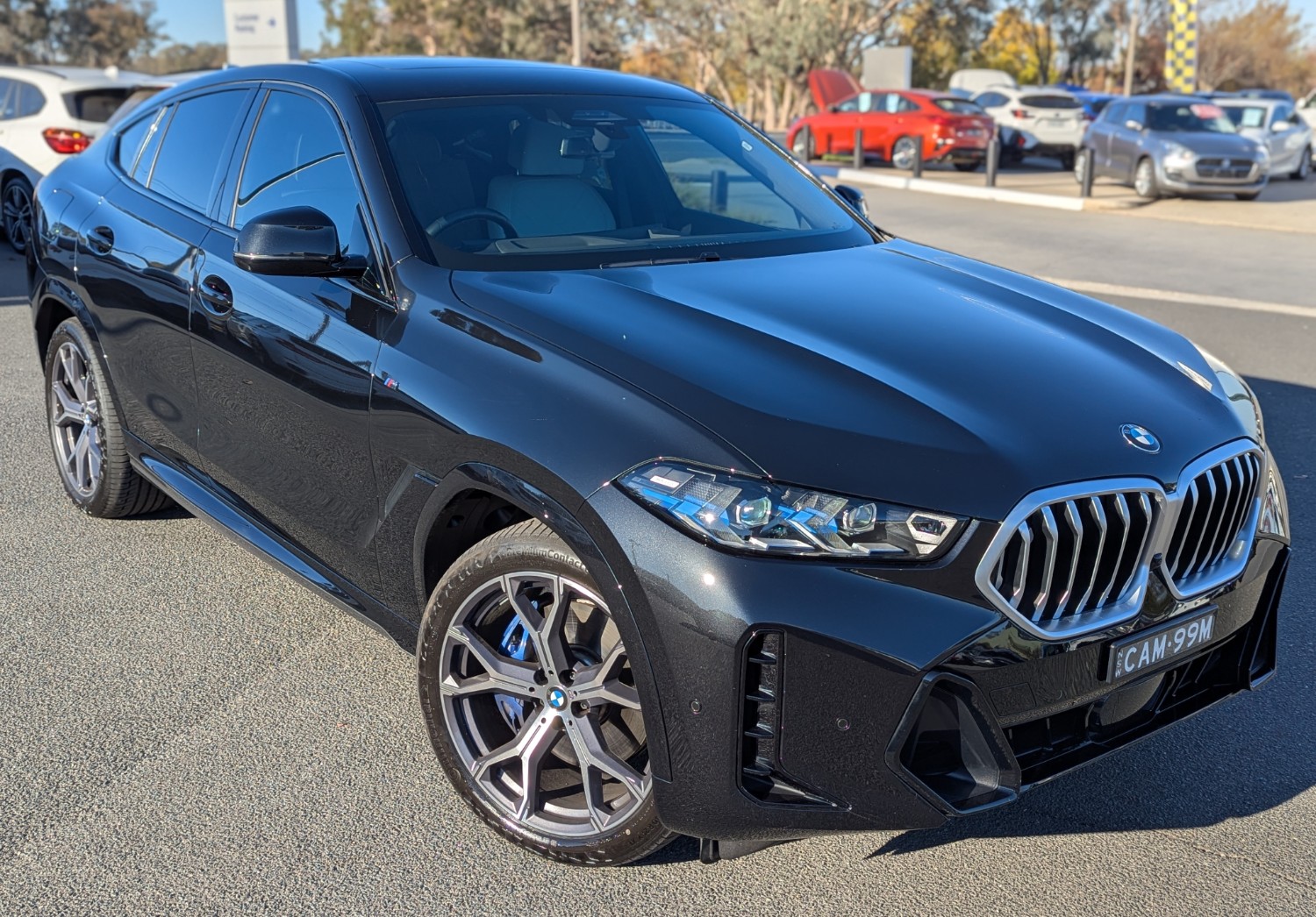 2024 BMW X6 xDrive30d M Sport