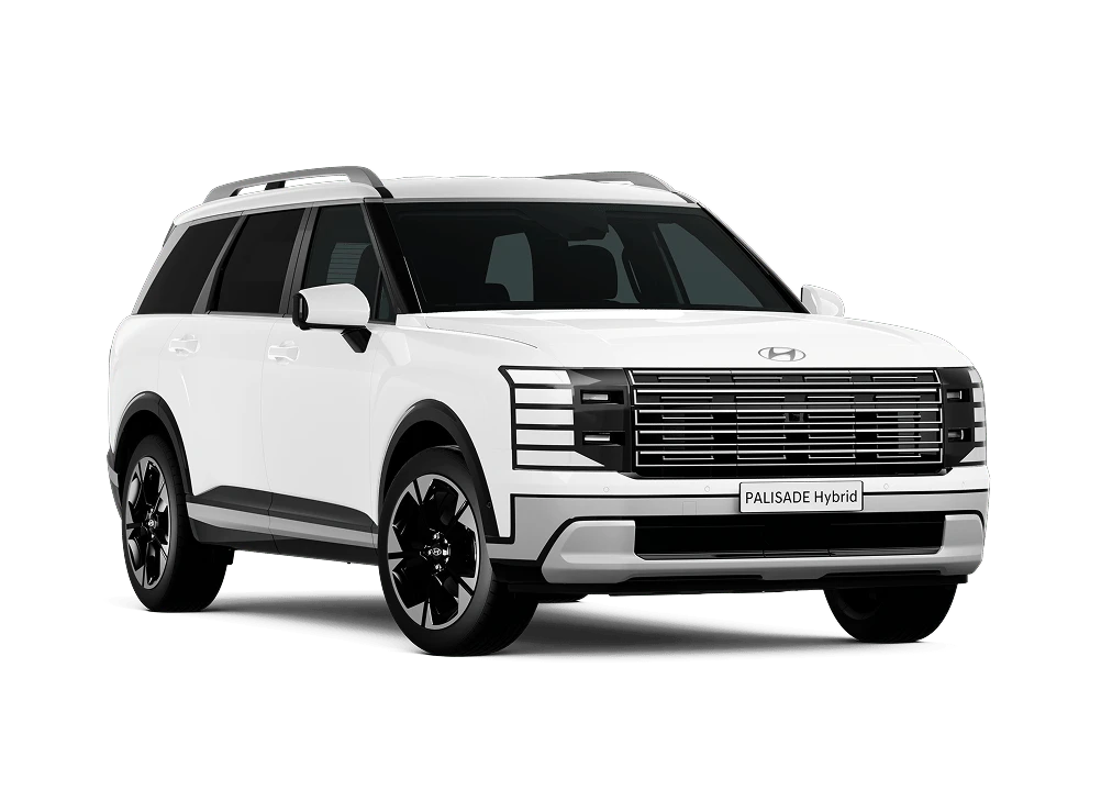 PALISADE Elite (8-seat)