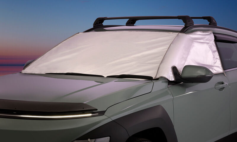 Ice/sun shade