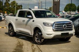 GWM Ute Cannon-X NPW