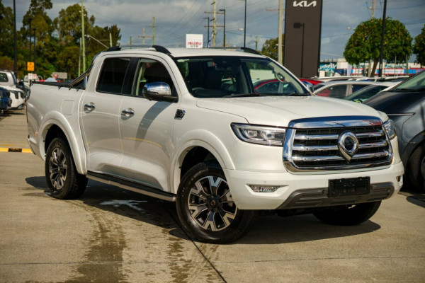 2023 GWM Ute NPW Cannon-X Ute