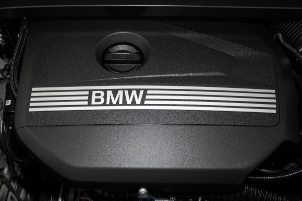2026 BMW X1 U11 sDrive18i SUV image 21