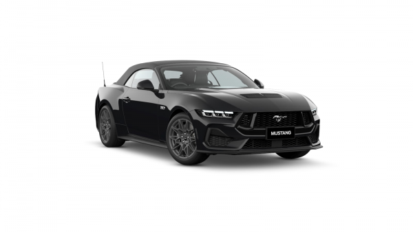 Shadow Black