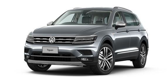 Platinum Grey Metallic