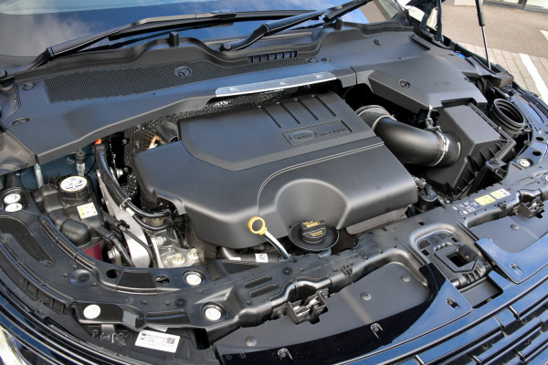 2026 Land Rover Range Rover Evoque L551 P250 Dynamic SE SUV image 9