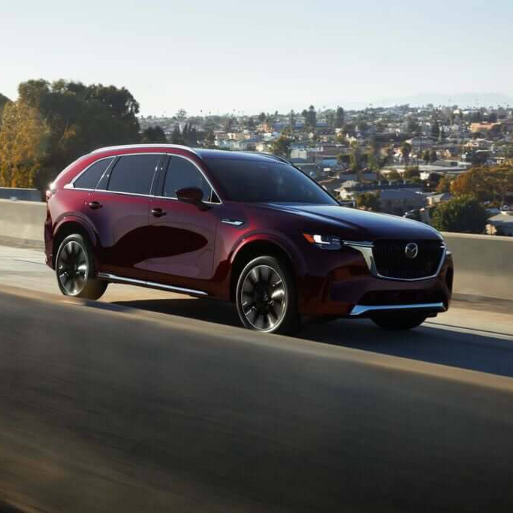 Mazda Premium Car Care Full Vehicle