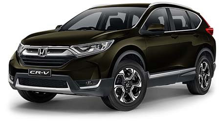 Midnight Forest Metallic