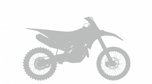 New Ducati Desmo250 MX