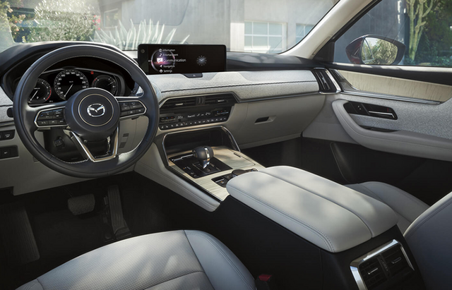 Mazda Premium Car Care Interior Protection