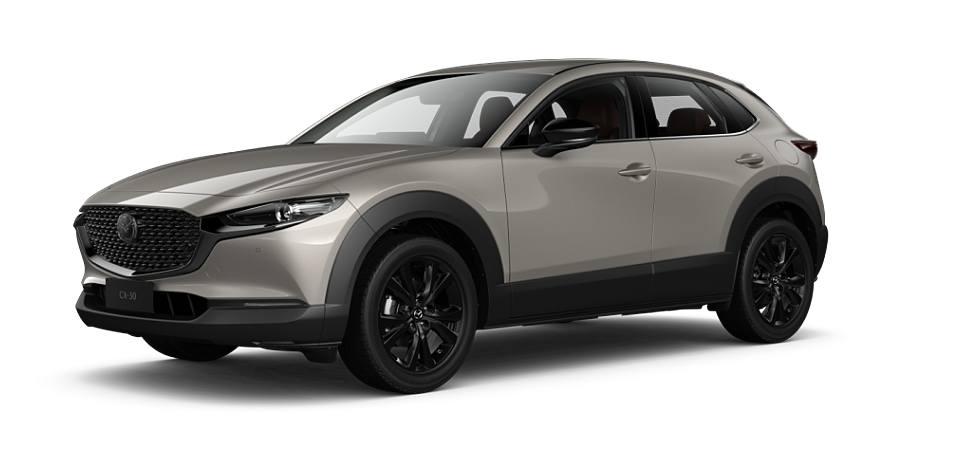 Platinum Quartz Metallic