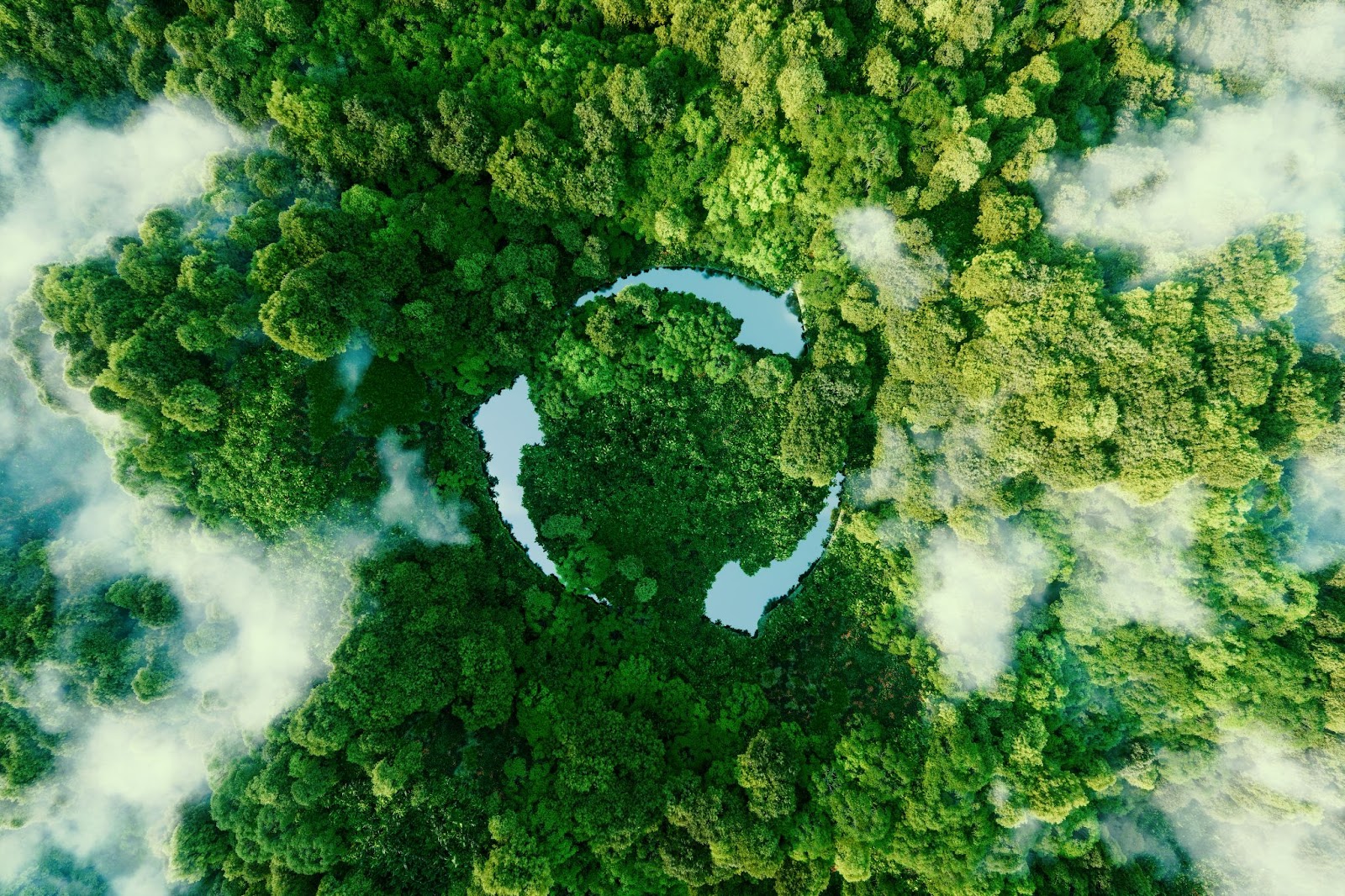 A Cleaner Future For The Environment With Electric Vehicles
