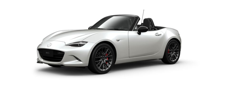 Snowflake White Pearl Mica