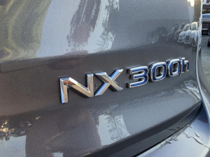 2019 Lexus NX AYZ10R NX300h Luxury SUV