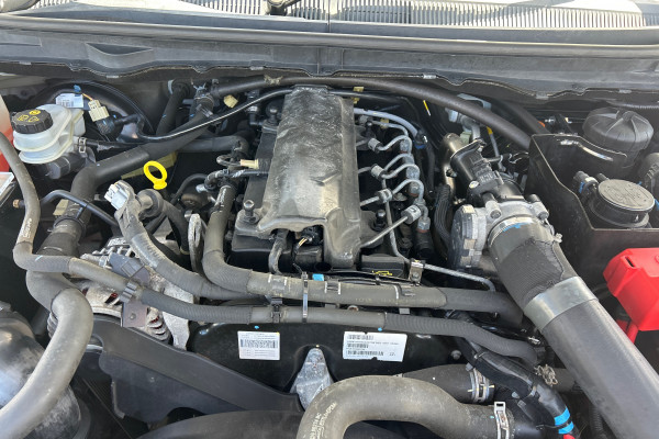 2017 Ford Ranger PX MkII FX4 Ute Image 16